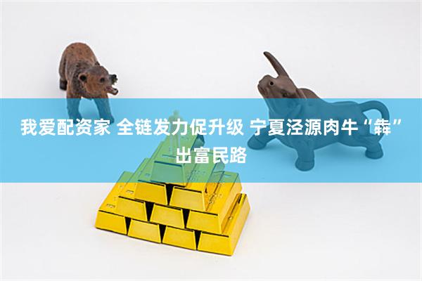 我爱配资家 全链发力促升级 宁夏泾源肉牛“犇”出富民路