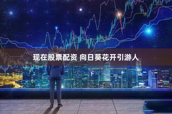 现在股票配资 向日葵花开引游人