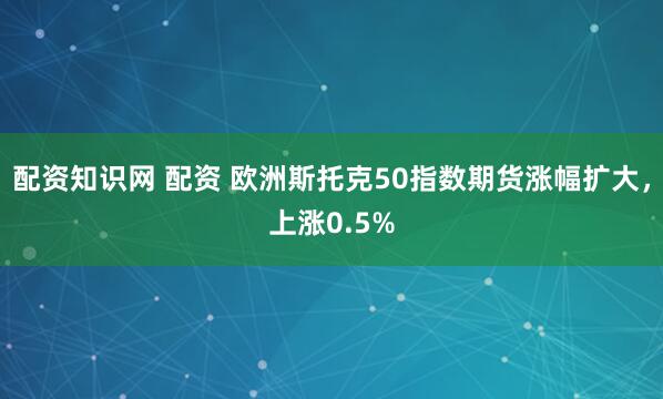 配资知识网 配资 欧洲斯托克50指数期货涨幅扩大，上涨0.5%