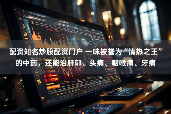 配资知名炒股配资门户 一味被誉为“清热之王”的中药，还能治肝郁、头痛、咽喉痛、牙痛